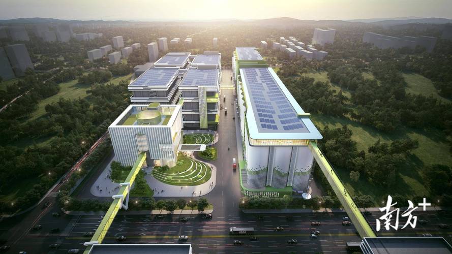 糧儲倉容超50萬噸!廣糧食品產業園開工建設